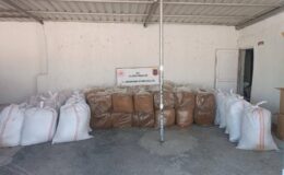 1,5 ton kaçak tütün ele geçirildi