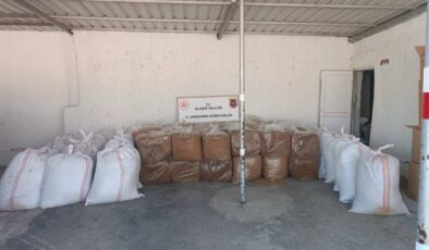 1,5 ton kaçak tütün ele geçirildi