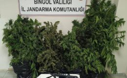 Bingöl’de uyuşturucu operasyonu