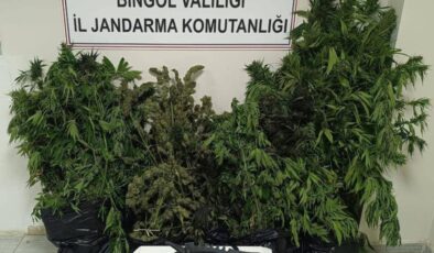 Bingöl’de uyuşturucu operasyonu