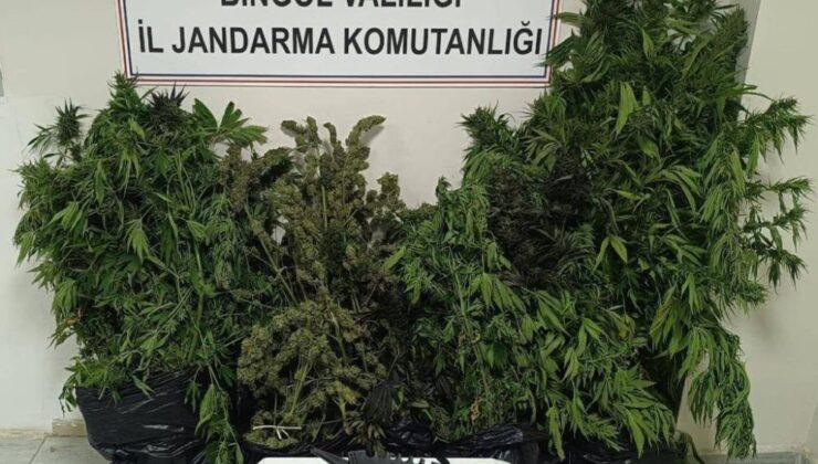 Bingöl’de uyuşturucu operasyonu