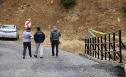 Veterinerin şehit edildiği bölgede 2 kişinin yol kesip araç kurşunladığı iddiası