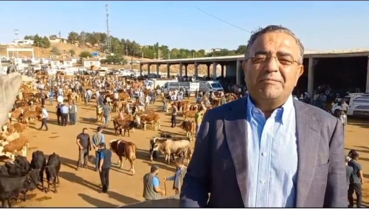 Tanrıkulu: Canlı Hayvan Borsası Çarşamba günleri neden kapalı!
