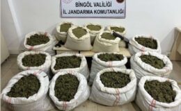 Bingöl’de 11 milyon kök kenevir ve 163 kilo toz esrar ele geçirildi