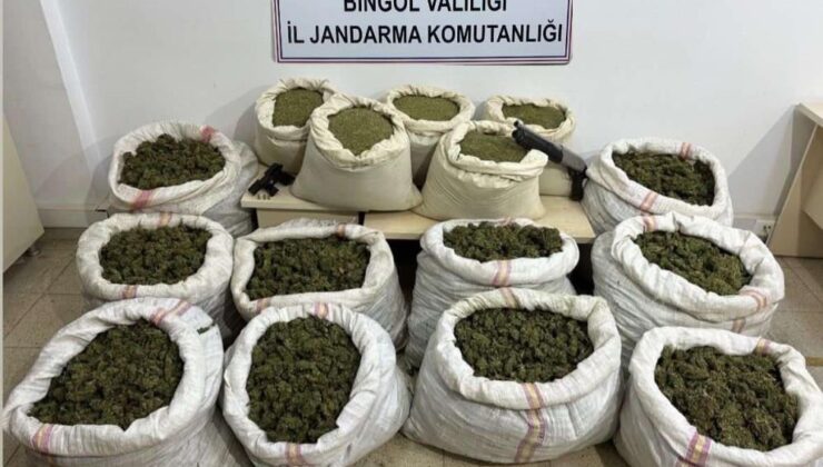 Bingöl’de 11 milyon kök kenevir ve 163 kilo toz esrar ele geçirildi