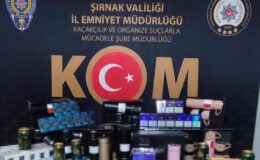 Şırnak’ta asayiş ve kaçakçılık operasyonu: 50 gözaltı