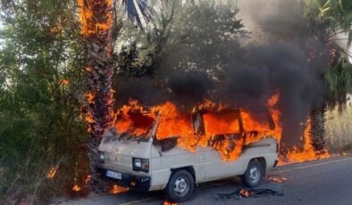 Araçta başlayan yangın ağaçlara sıçradı