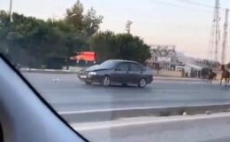 Çevre yolunda başıboş at otomobile çarptı