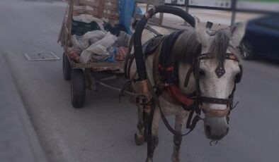 At Arabası Hırsızlığı Şüphesi: Çalıntı Malzemeler Ele Geçirildi