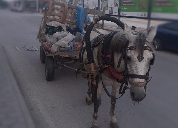 At Arabası Hırsızlığı Şüphesi: Çalıntı Malzemeler Ele Geçirildi