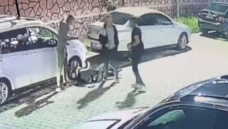 Kardeş Katili: Ağabeyini Tüfekle Yanlışlıkla Öldürdü