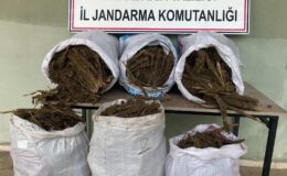 Diyarbakır’da 121 kilo esrar ele geçirildi