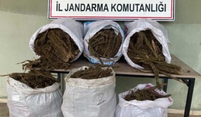 Diyarbakır’da 121 kilo esrar ele geçirildi