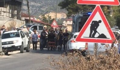 Zeytin hasadında yaban arıları felaketi