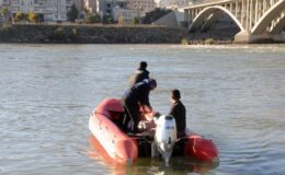 Dicle Nehri’nde kaybolan kızı arama çalışmaları 9’uncu gününde devam ediyor