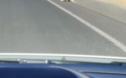 Köpeği aracın arkasına bağlayarak sürükledi
