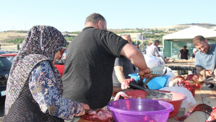 Elazığ’da bayram namazından çıkan vatandaşlar, kurbanlarını kesti