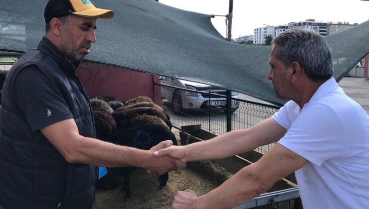 Bingöl’de kurbanlıklar için kol koparan pazarlıklar sürüyor