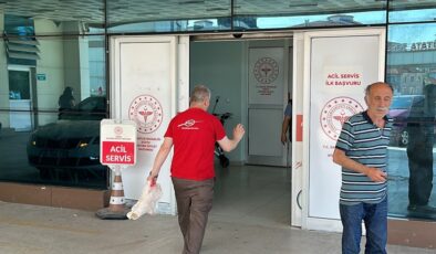 Kaçan koçu yakalamaya çalışınca yaralandı