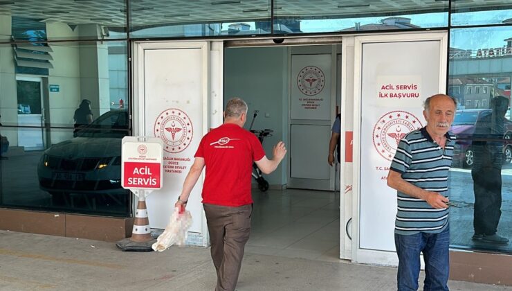 Kaçan koçu yakalamaya çalışınca yaralandı