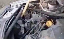 Motora giren yılan güçlükle çıkarıldı