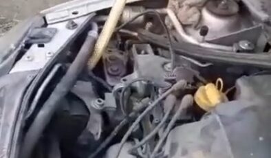 Motora giren yılan güçlükle çıkarıldı