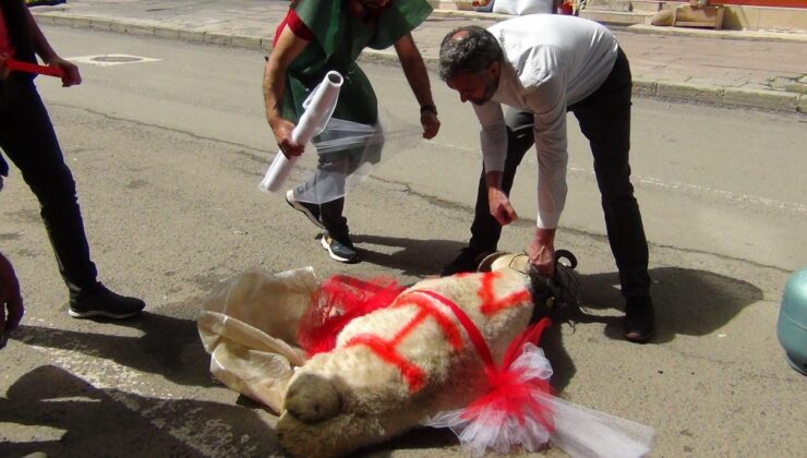 Kars’ta geline “süslü koç gönderme geleneği” sürüyor
