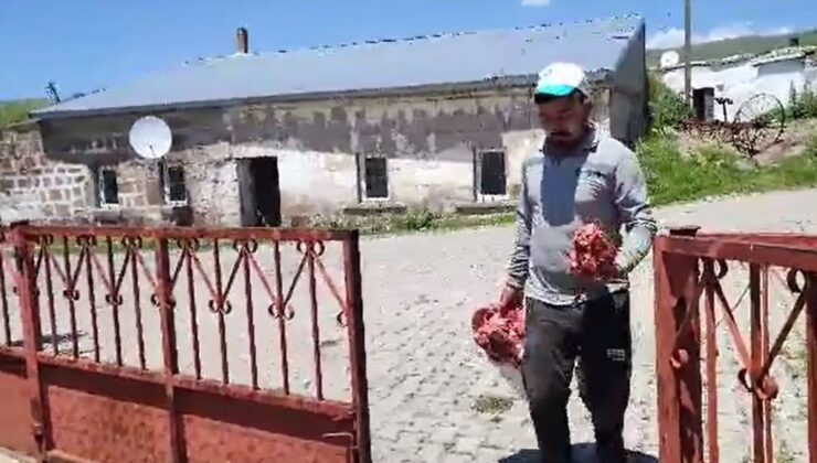 Ardahan’da yılların geleneği bozulmadı, toplanan kurbanlıklar ihtiyaç sahiplerine dağıtıldı