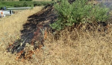 100 dönümlük otluk alanda çıkan yangın, yerleşik alana ulaşmadan söndürüldü