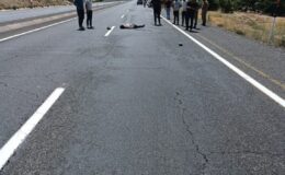 Elazığ’da yolun karşısına geçmeye çalışan yayaya araç çarptı