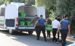 Kamyon çarptığı ticari taksiyi sürükledi: 4 ölü