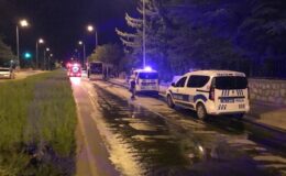 Konya’da koyun yüklü kamyonette yangın çıktı