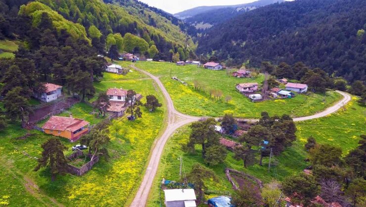 İsviçre Alpleri değil Amasya yaylaları
