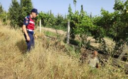 Kaybolan engelli şahsı jandarma ekipleri buldu