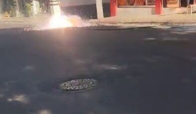 Kopan elektrik kabloları çevreye korku saçtı