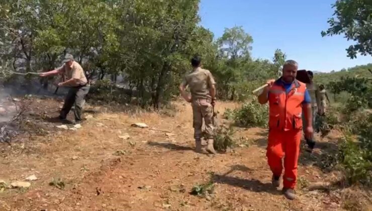 Lice’deki yangın 7 saat sonra kontrol altına alındı