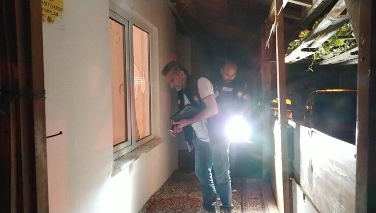 Yaşlı kadının evine taşlı saldırı