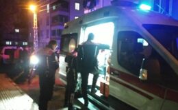 Abi-Kardeş kavgasında 2 yaralı