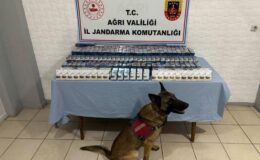 Ağrı’da kaçak sigara operasyonu