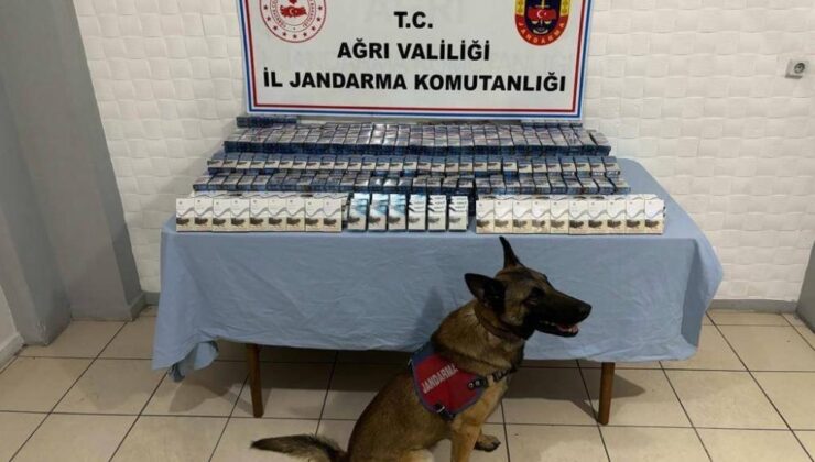 Ağrı’da kaçak sigara operasyonu