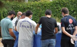 Batman’da mezarlıkta bebek cesedi bulundu