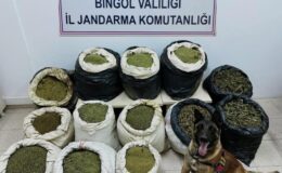 Bingöl’de büyük uyuşturucu operasyonu