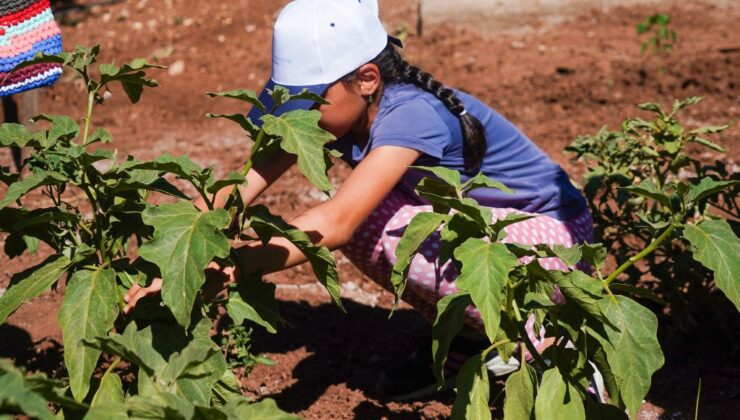 Diyarbakır’da Mola evinde çocuklar hobi bahçesi ile toprakla buluşuyor