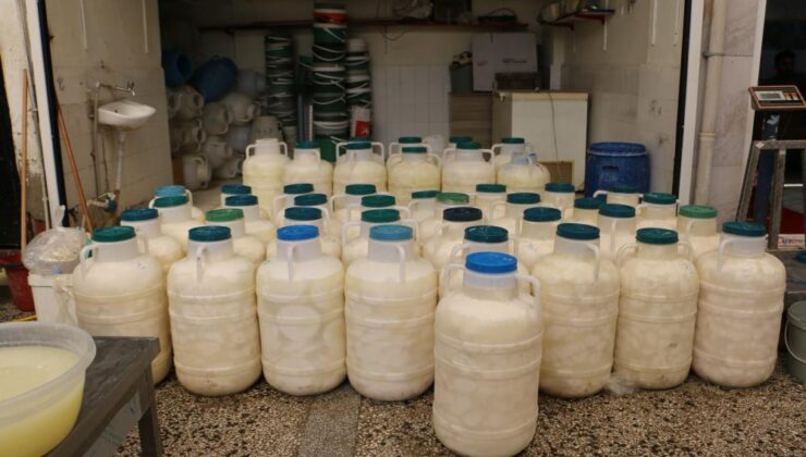 Diyarbakır’da kışlık peynirler tezgahlarda