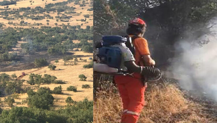 Lice’de örtü yangını 4 saat sonra kontrol altına alındı