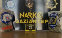 Gaziantep’te 2 kilo skunk ele geçirildi