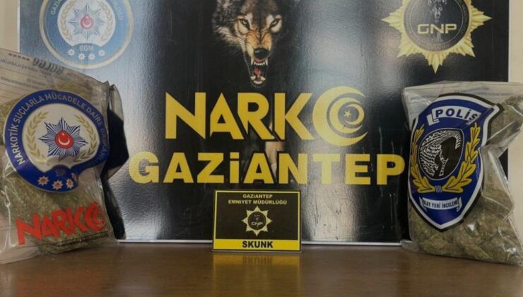 Gaziantep’te 2 kilo skunk ele geçirildi