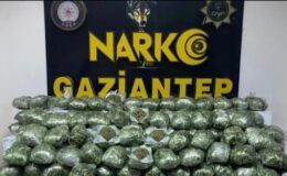 Gaziantep’te 80 kilo skunk ele geçirildi
