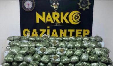 Gaziantep’te 80 kilo skunk ele geçirildi