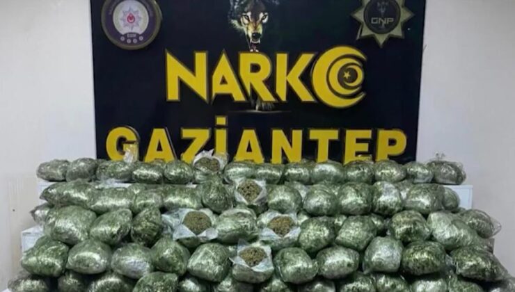 Gaziantep’te 80 kilo skunk ele geçirildi